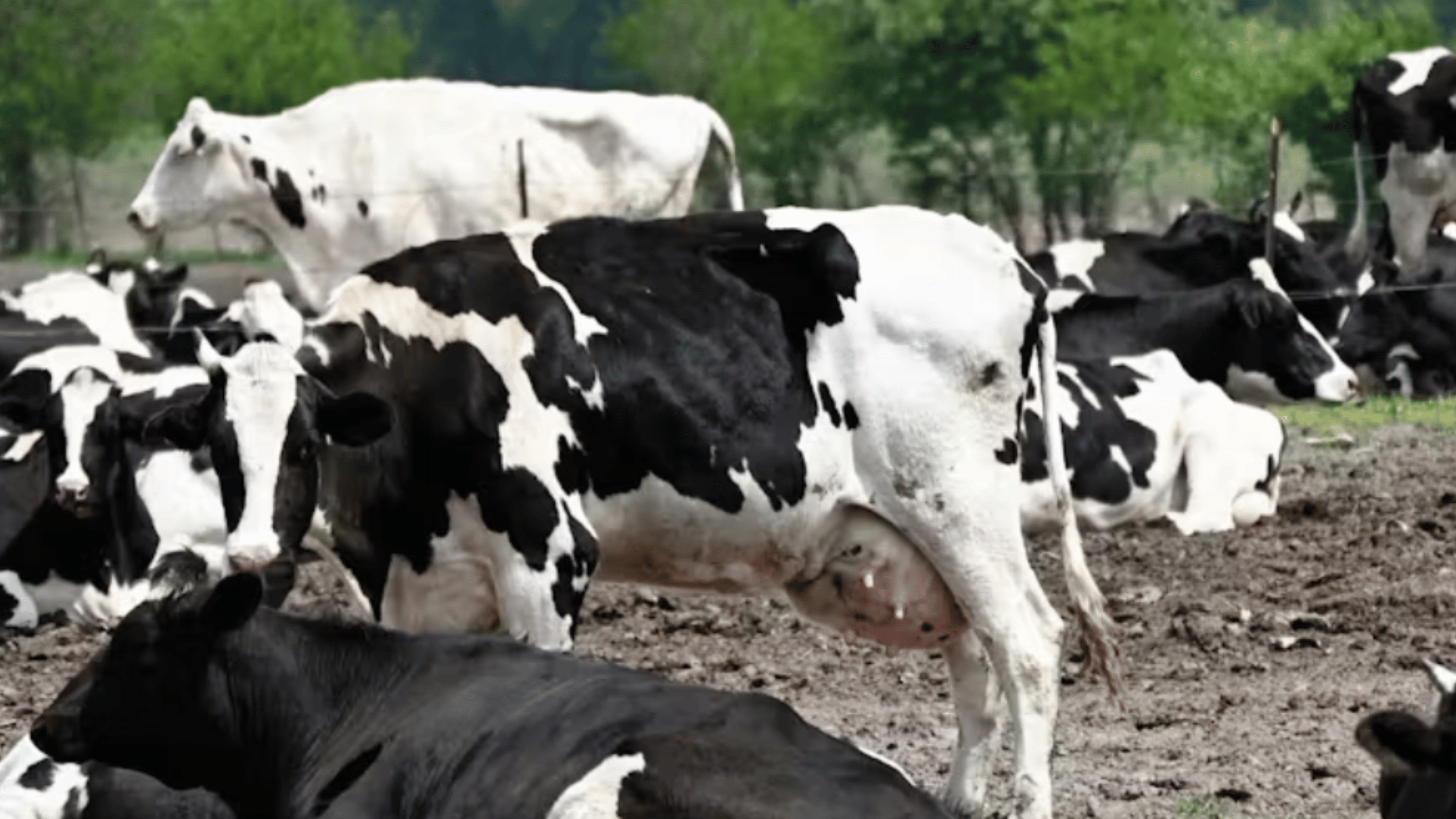 eNews_NEW_-_2024-12-09T083914