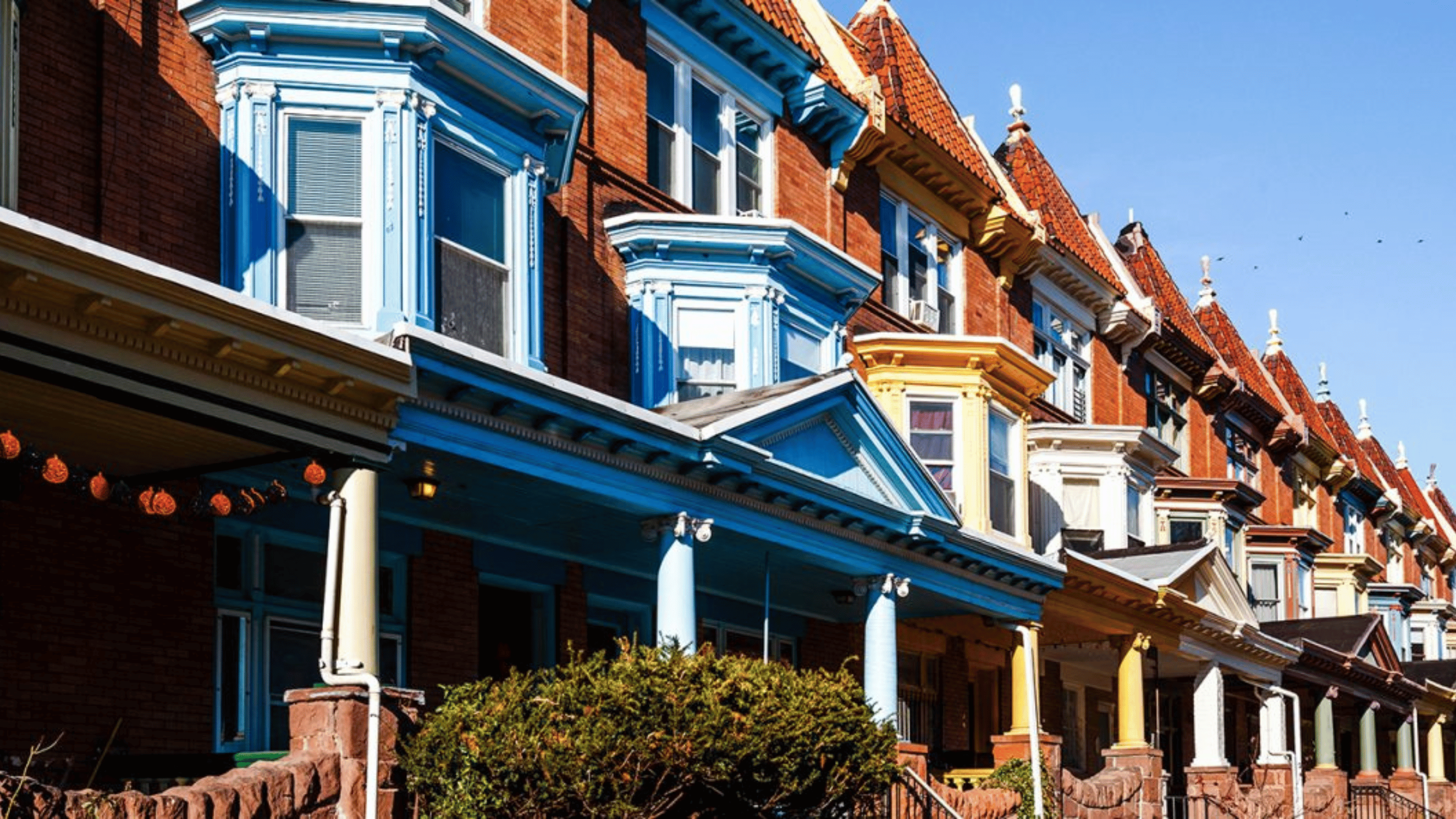 eNews_NEW_-_2024-12-20T084656