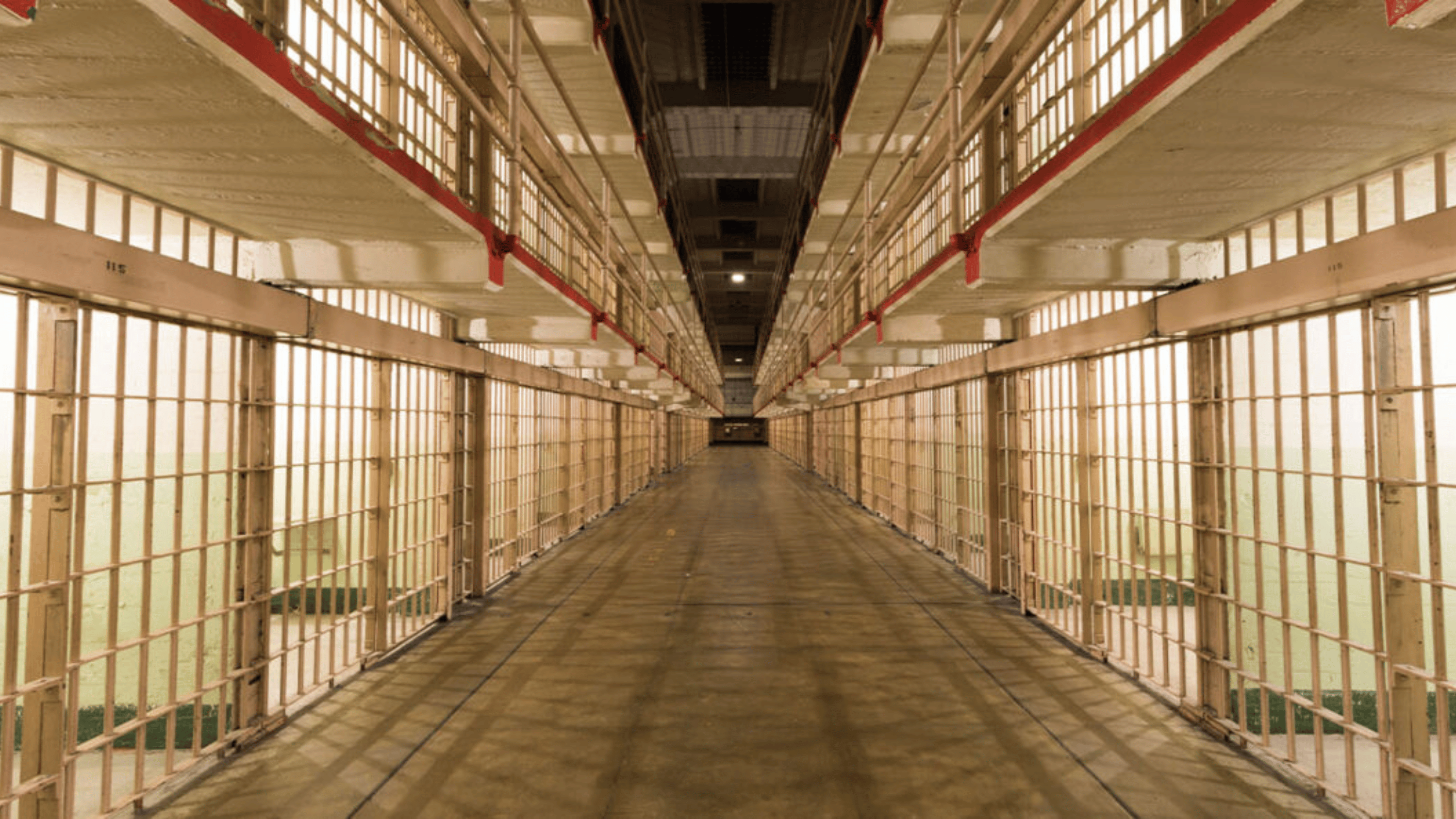 eNews_NEW_-_2024-12-26T075513