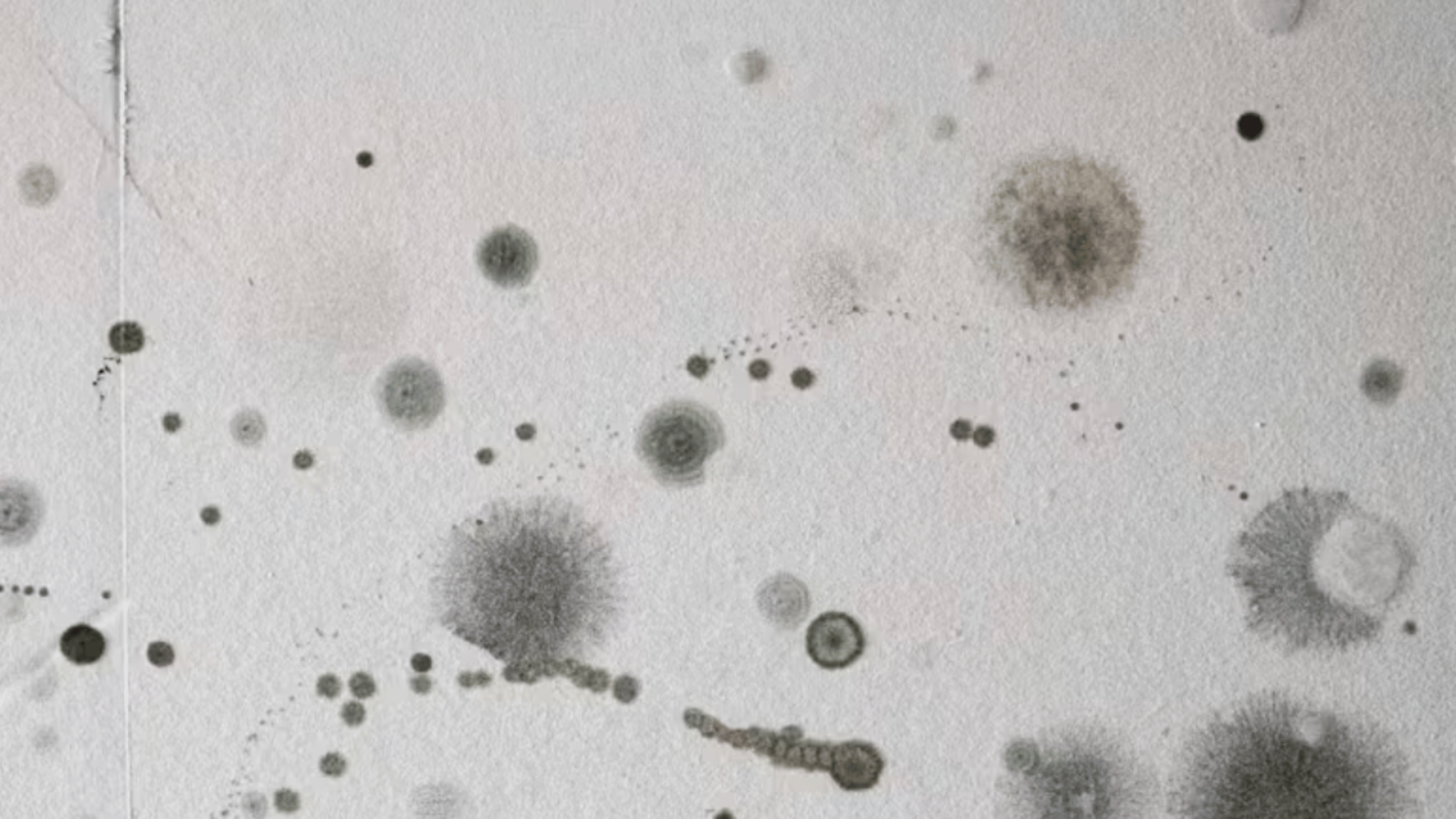 eNews_NEW_-_2025-01-01T080636