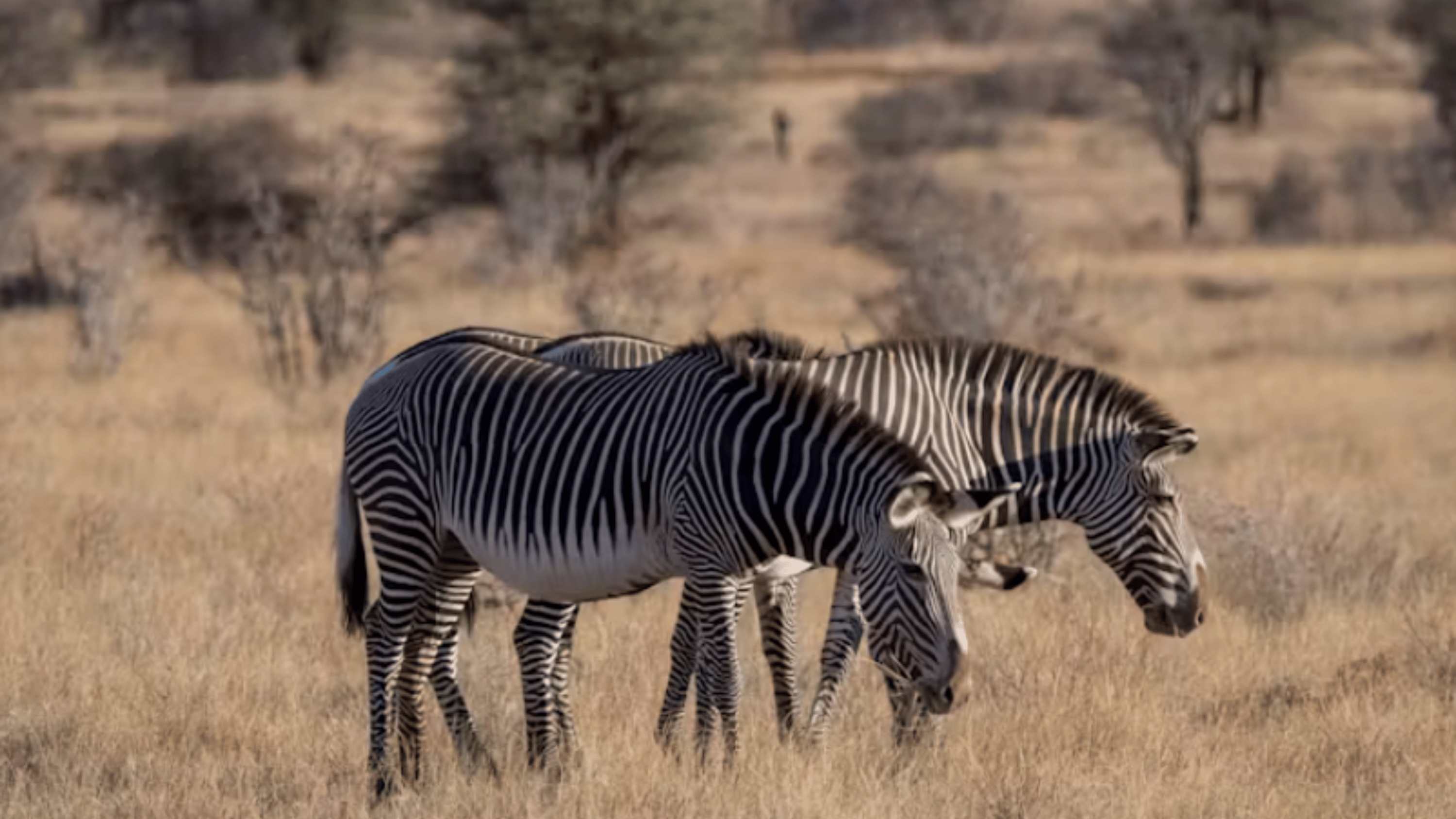 eNews_NEW_-_2025-01-03T094551