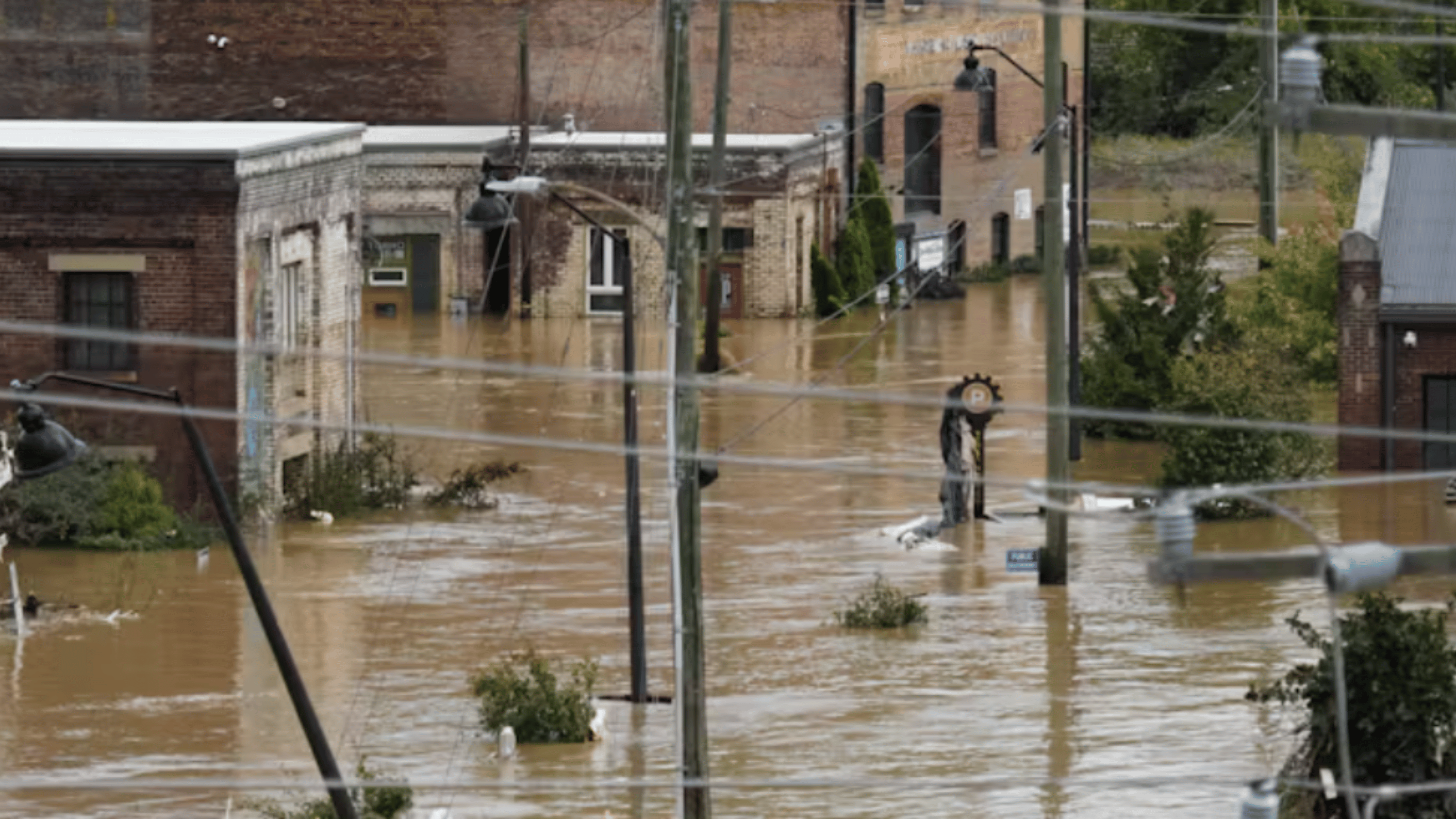 eNews_NEW_-_2025-01-17T093825