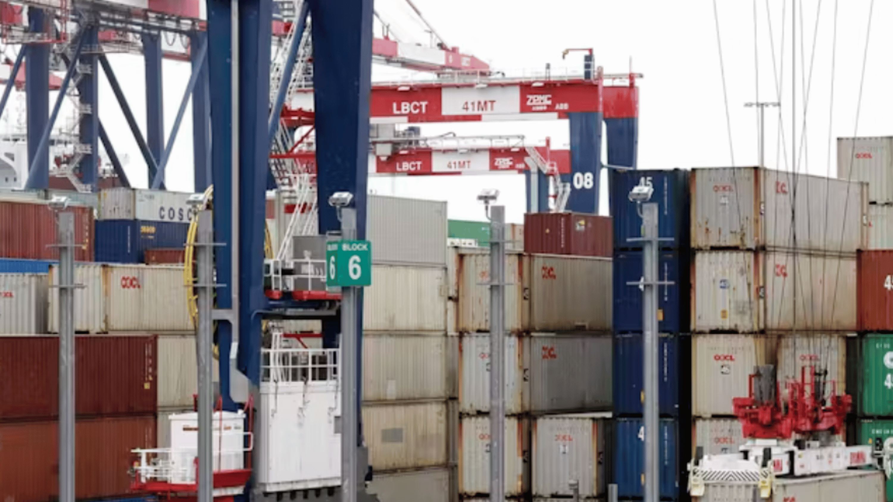 eNews_NEW_-_2025-02-05T074337