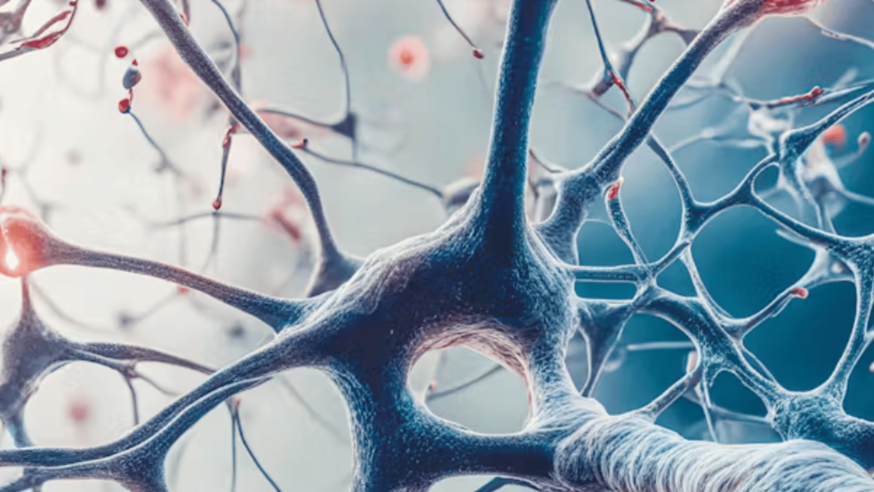 eNews_NEW_-_2025-02-24T092753