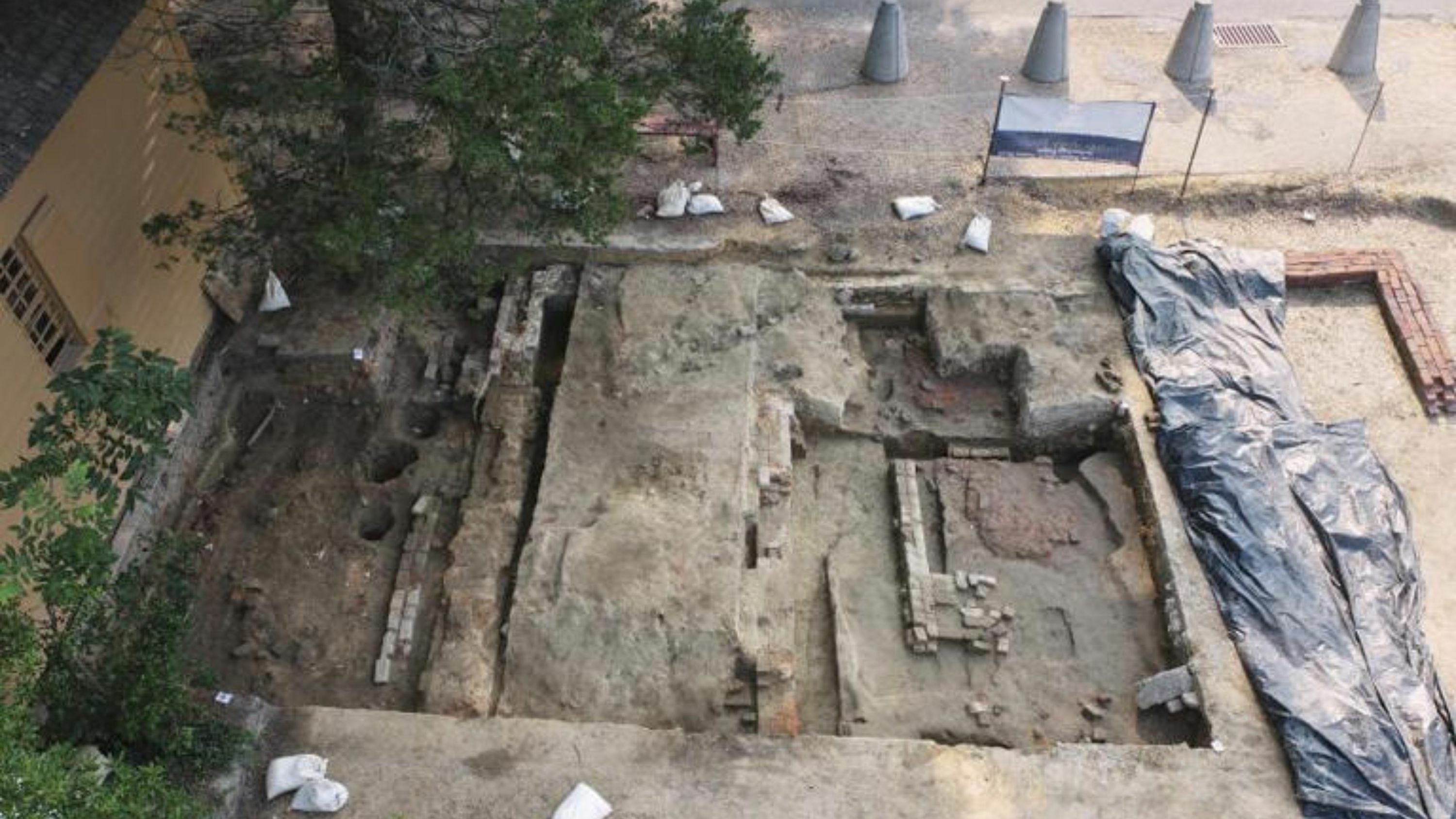 eNews_NEW_-_2025-06-20T070503