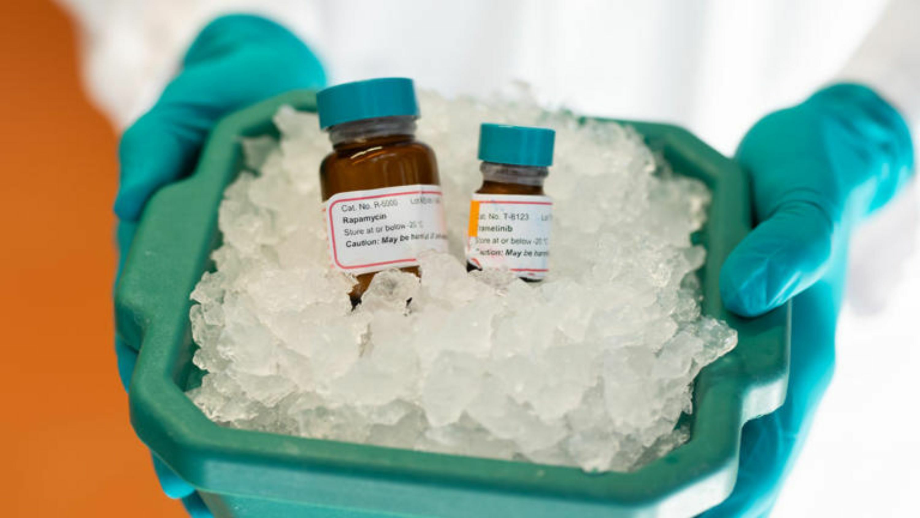 eNews_NEW_-_2025-06-23T064945