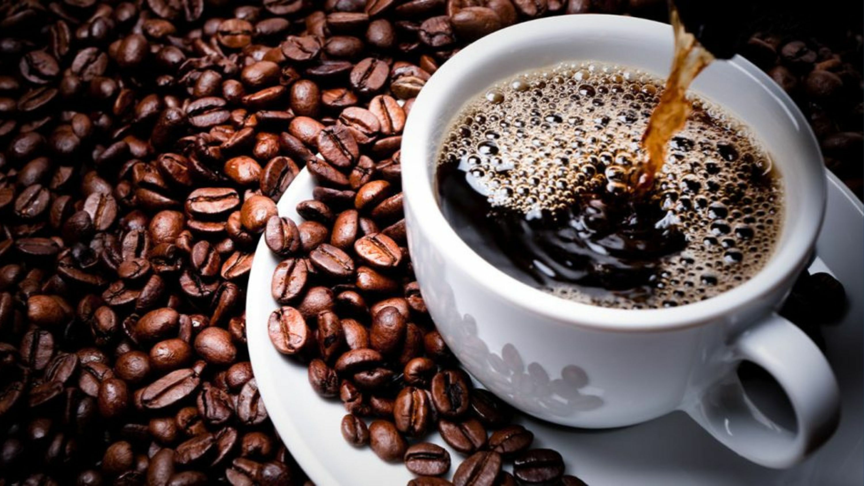 eNews_NEW_-_2025-07-04T091738