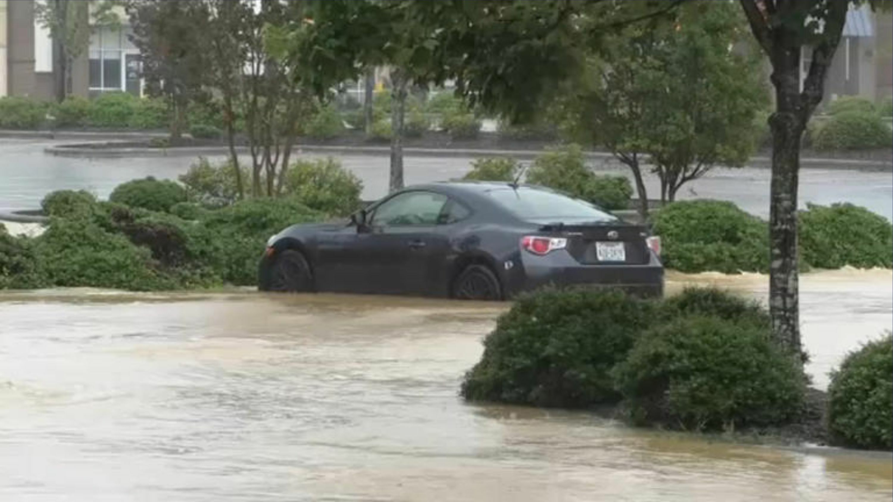 eNews_NEW_-_2025-07-07T064725