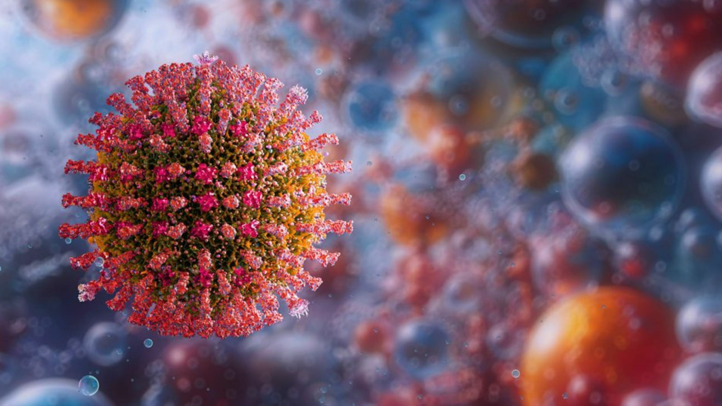 eNews_NEW_-_2025-07-11T061328