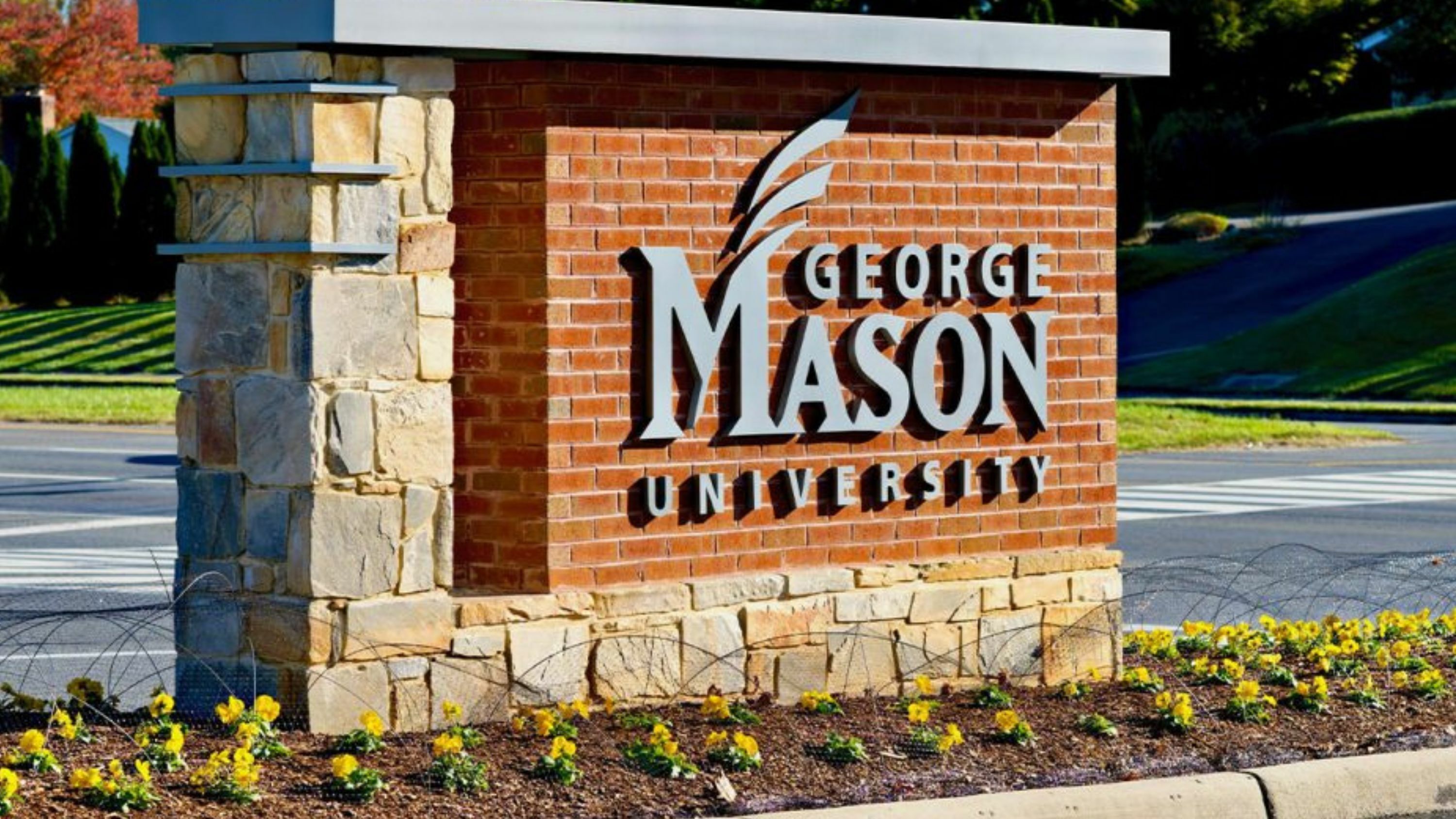 eNews_NEW_-_2025-07-16T072544