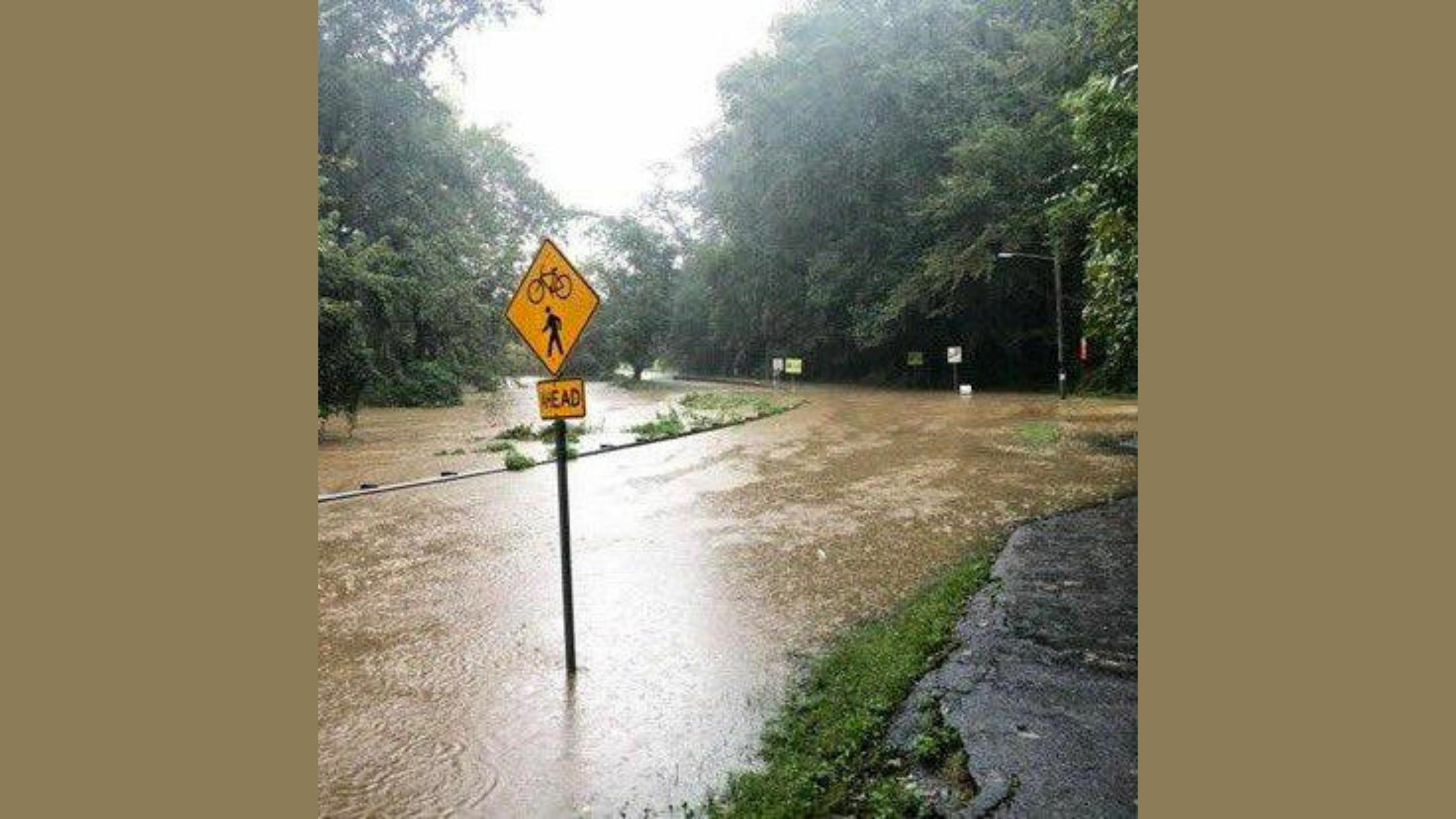 eNews_NEW_-_2025-07-21T065840