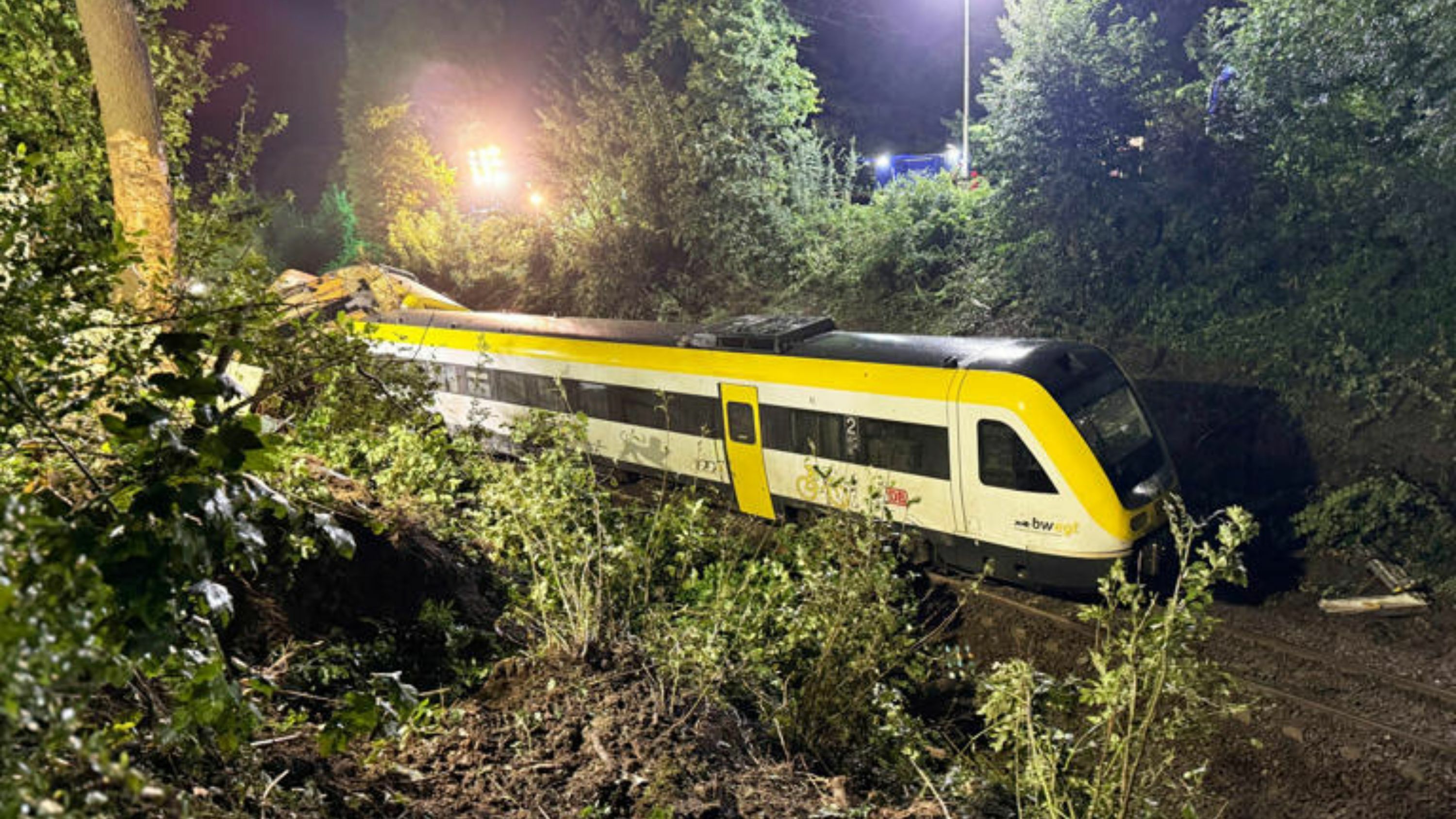 eNews_NEW_-_2025-07-27T222648