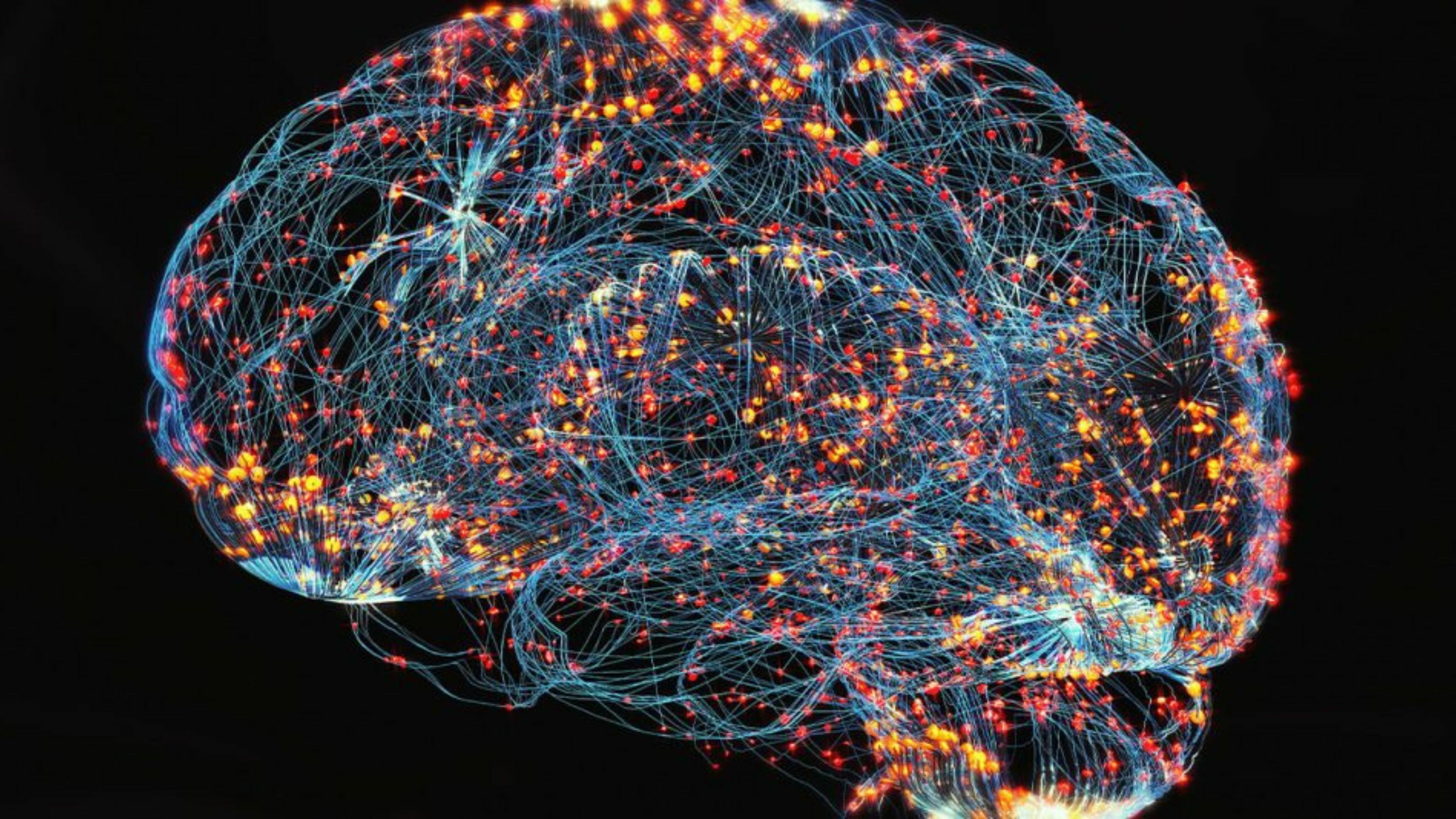 eNews_NEW_-_2025-07-30T070359