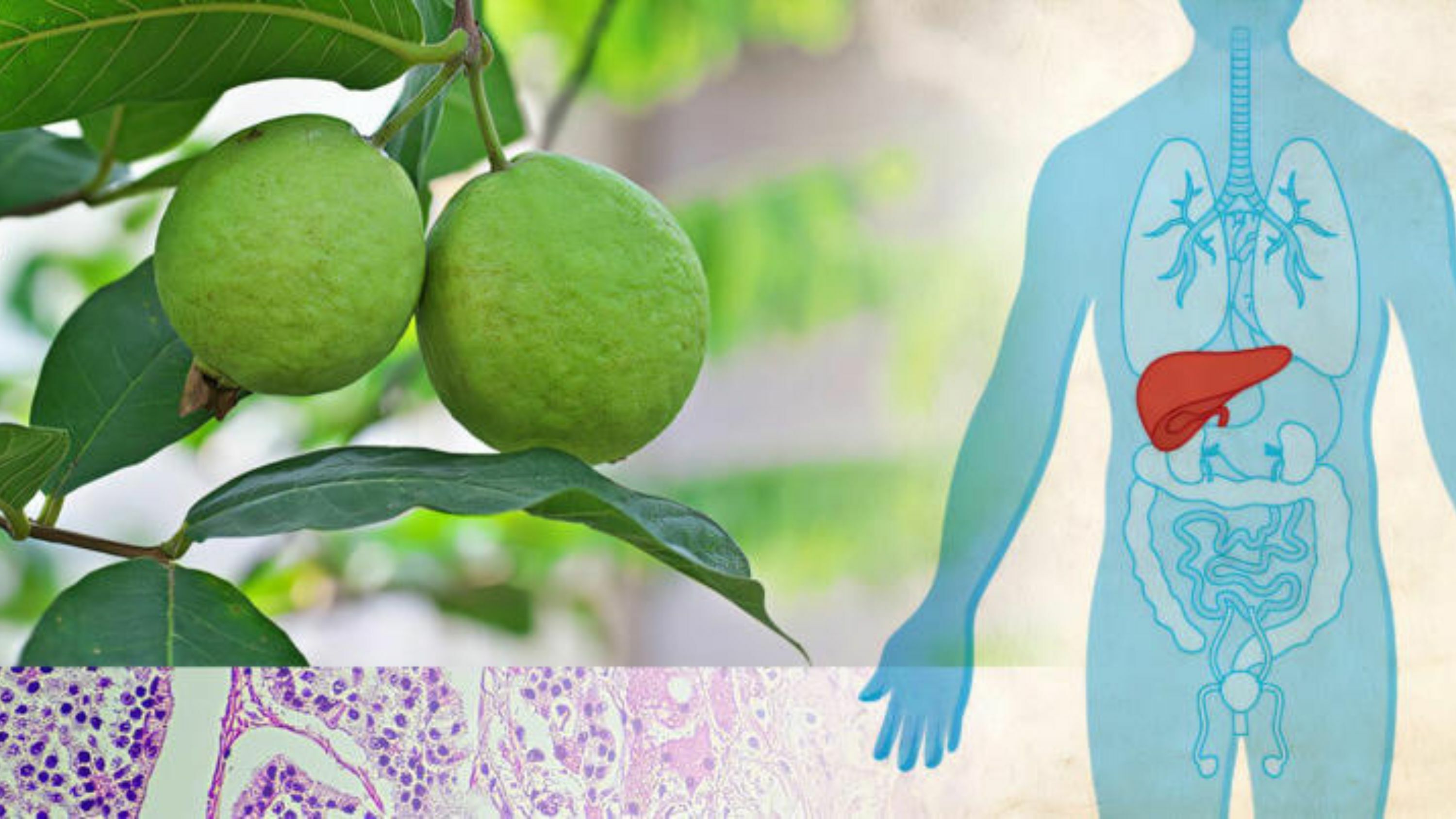 eNews_NEW_-_2025-08-20T070205