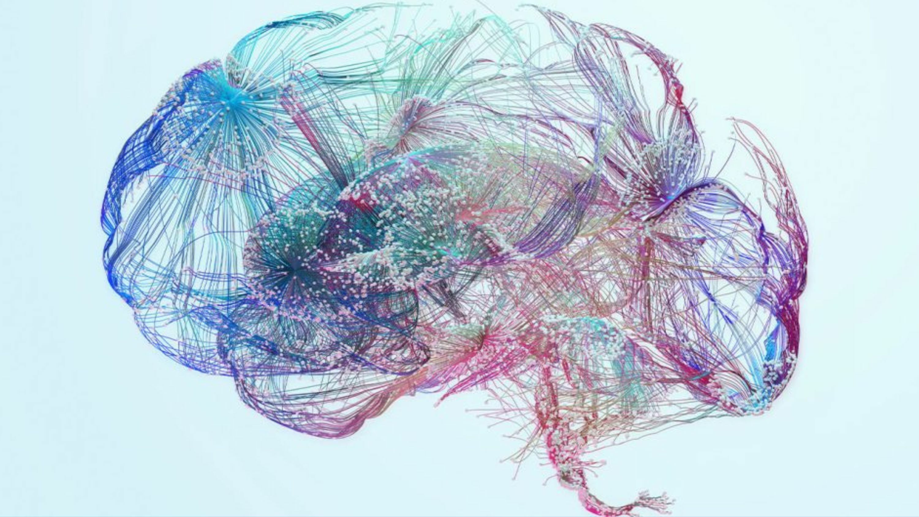 eNews_NEW_-_2025-08-22T055123