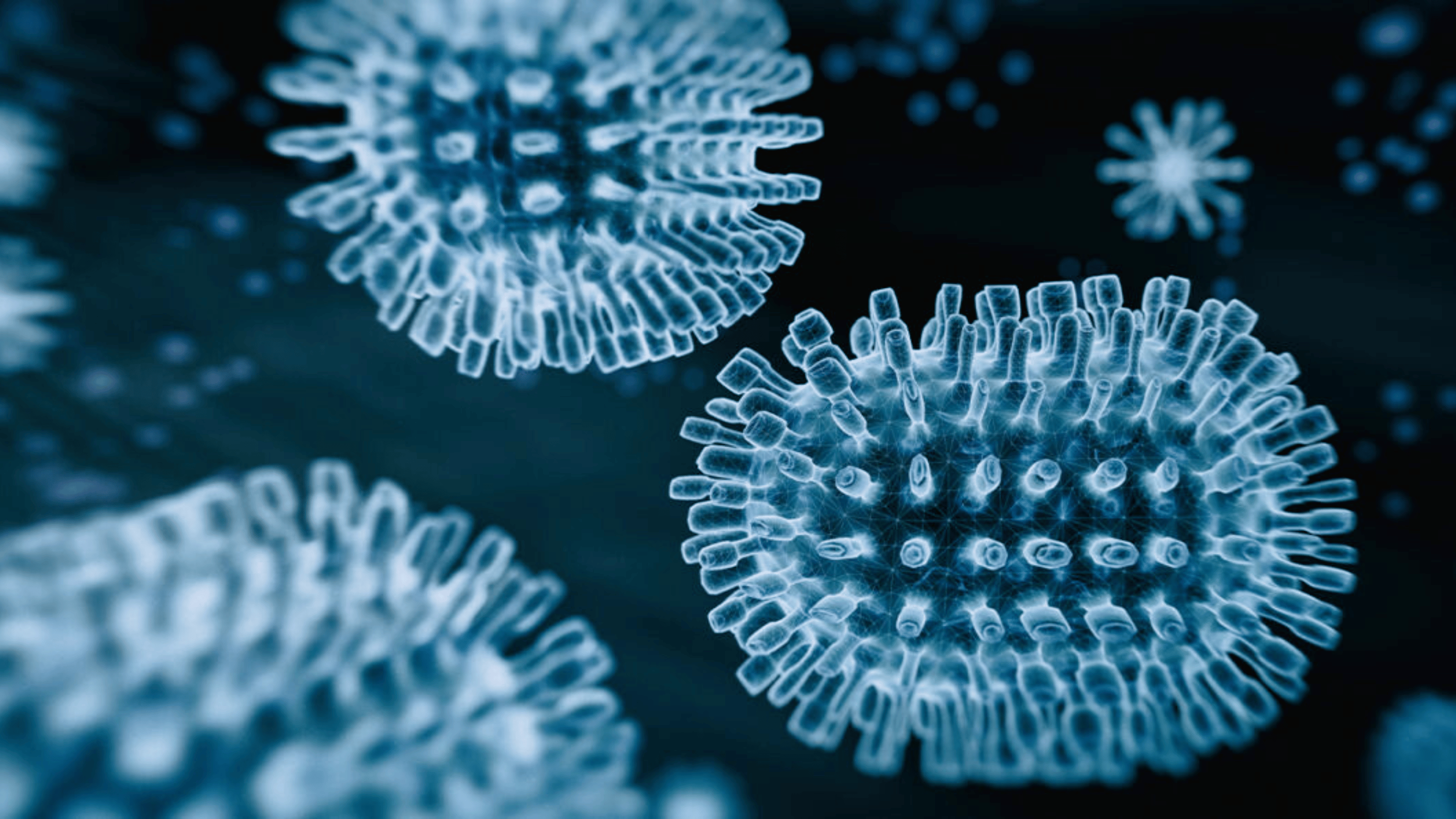 eNews_NEW_-_2024-12-18T083258