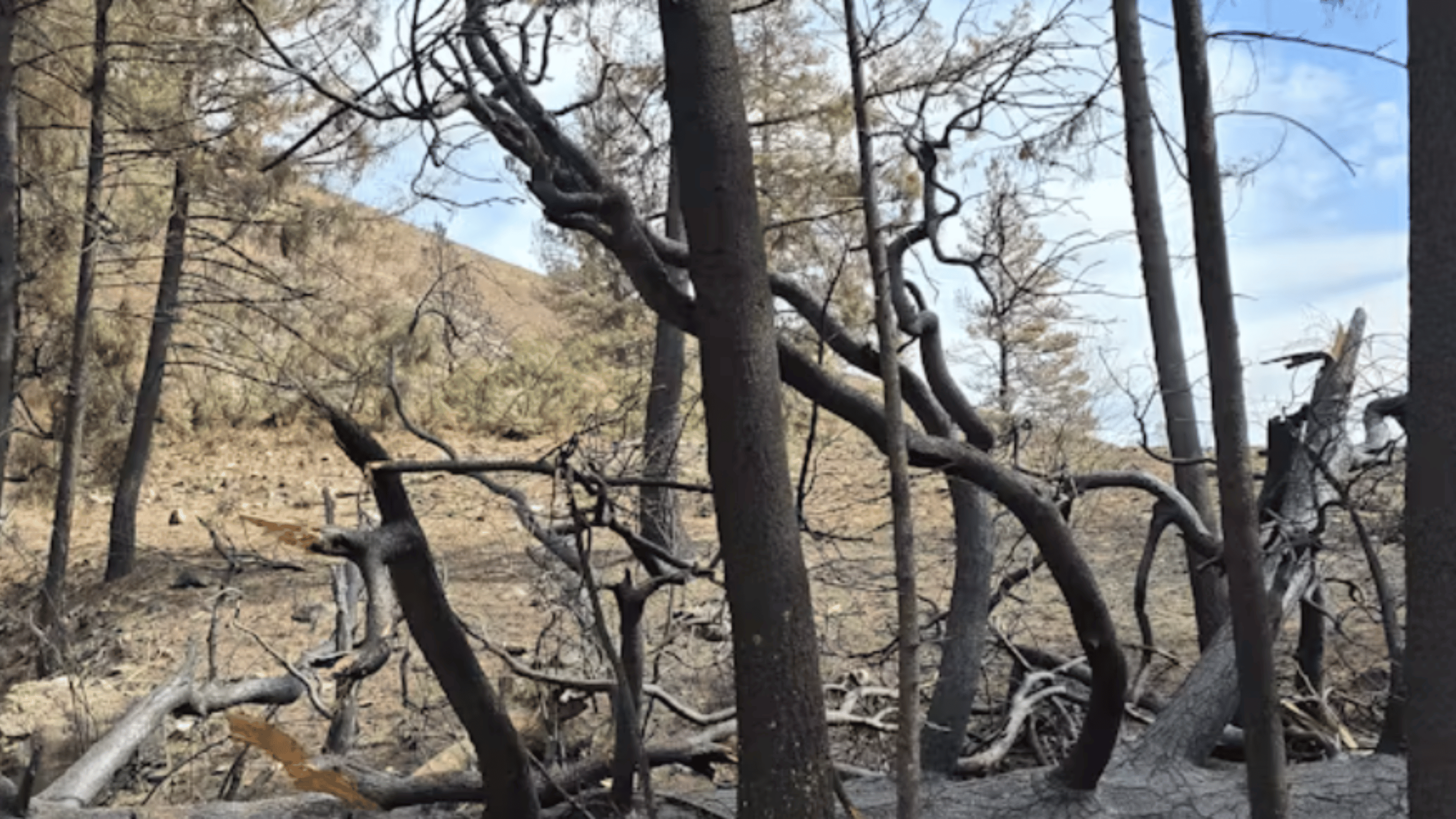 eNews_NEW_-_2025-01-27T093731