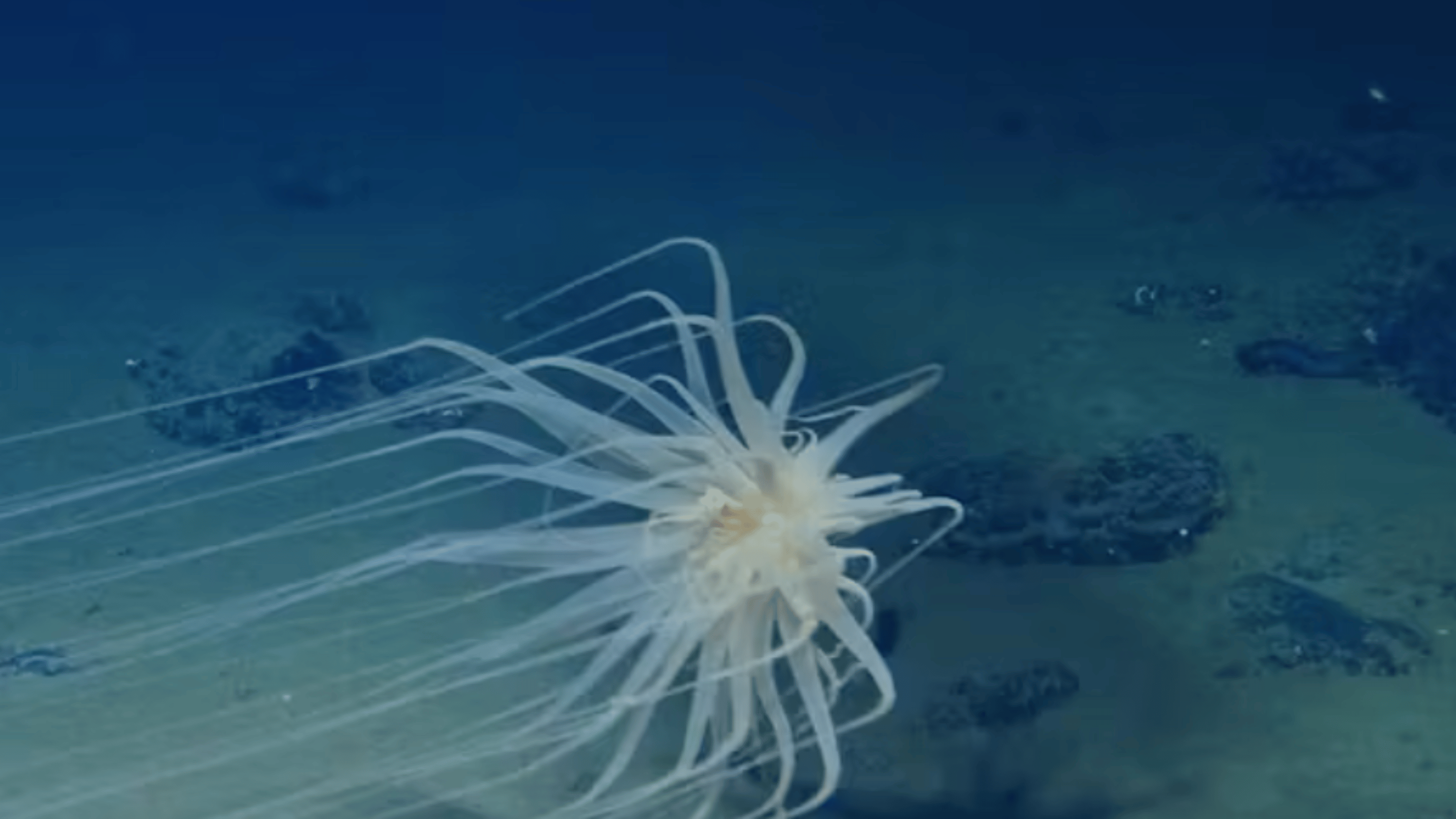 eNews_NEW_-_2025-03-26T084650