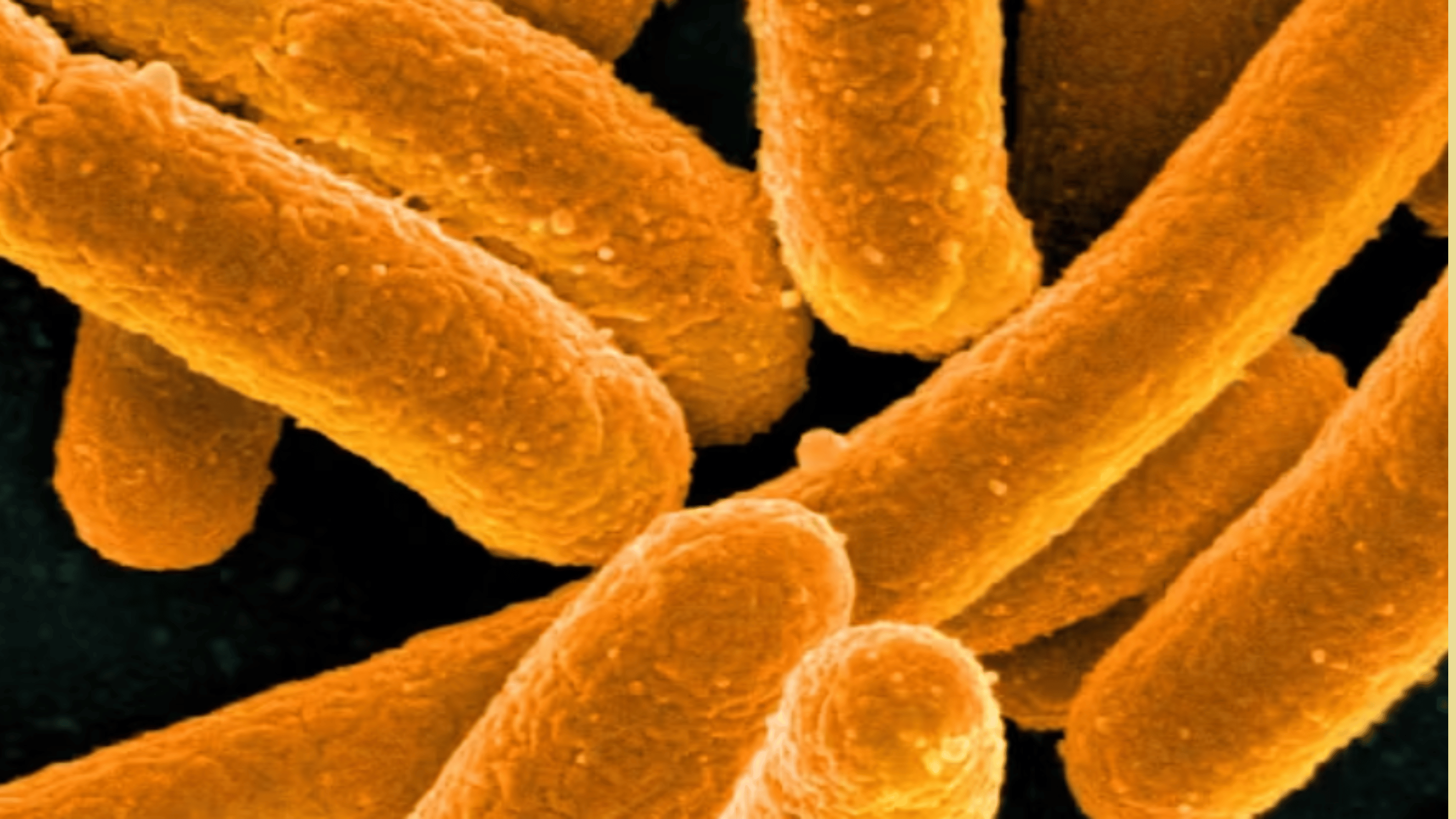 eNews_NEW_9_b5ca683c