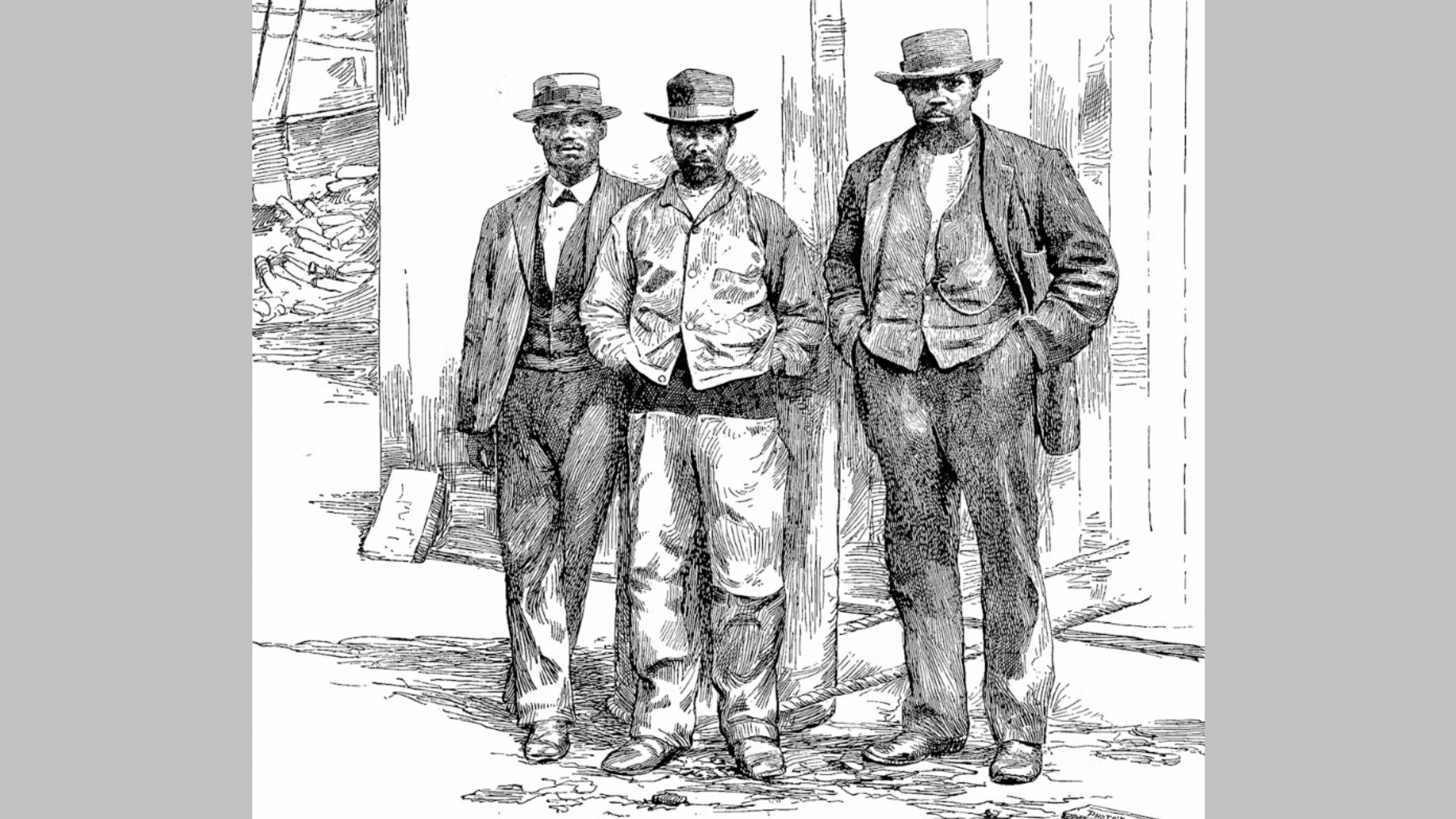 eNews_NEW_13_b6568317