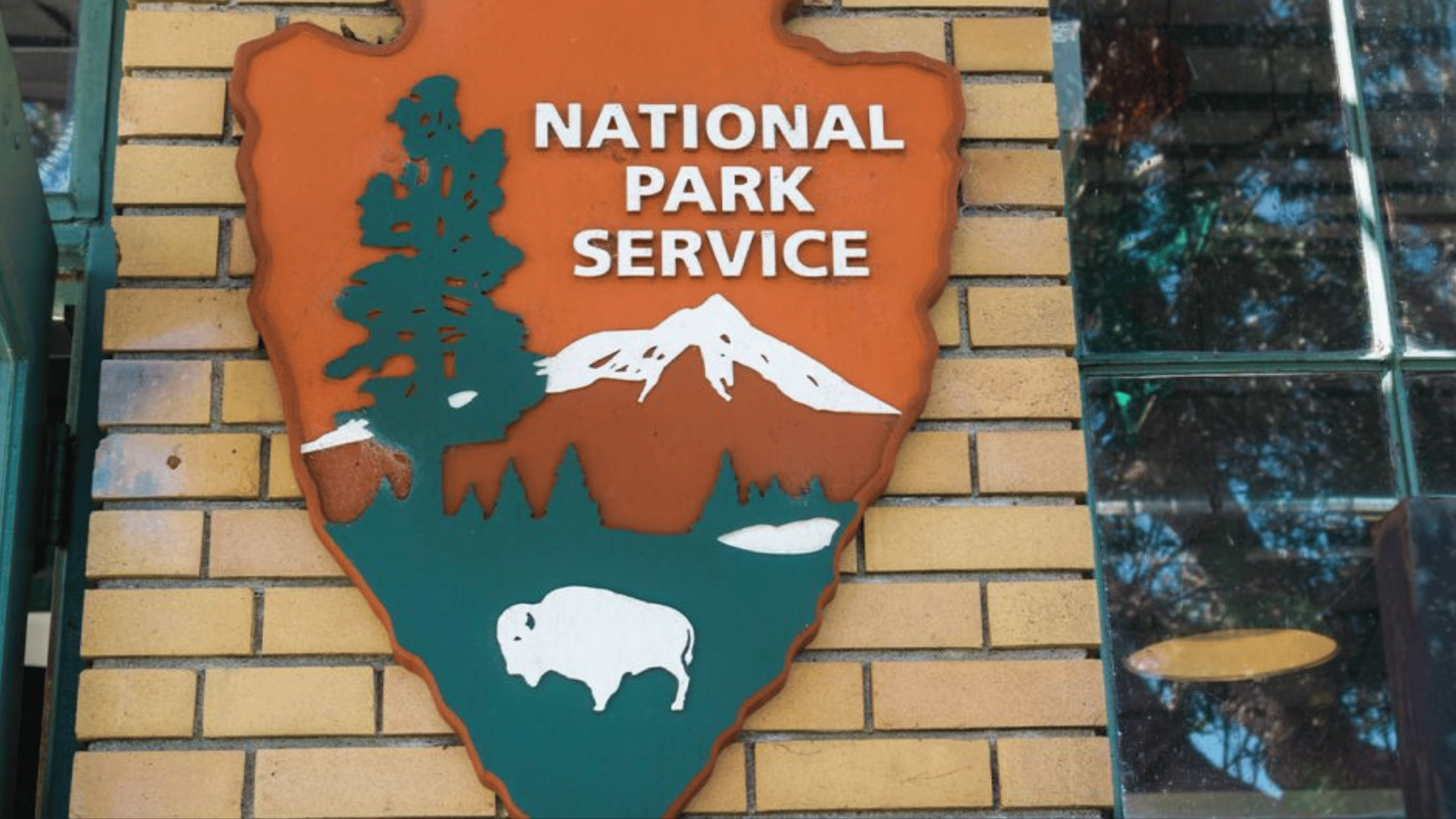 eNews_NEW_25_c7a1a956