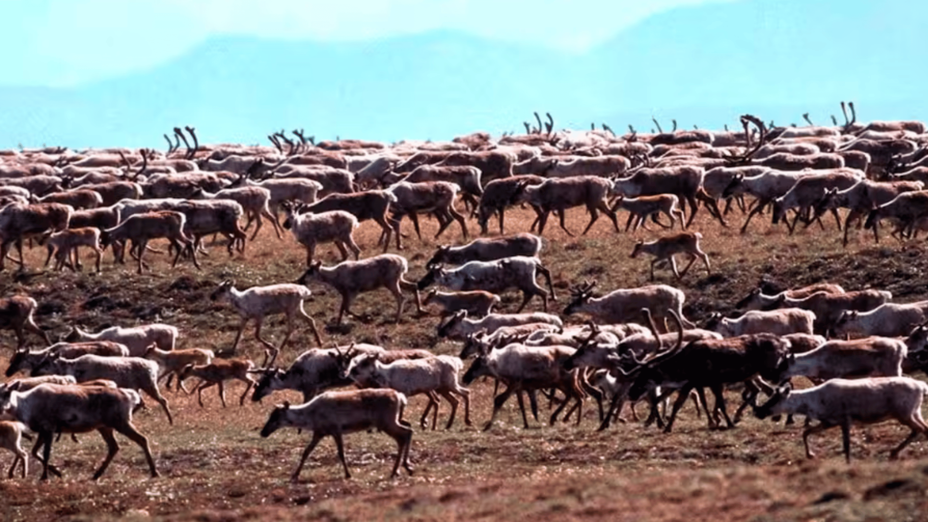 eNews_NEW_36_39f8e6e2