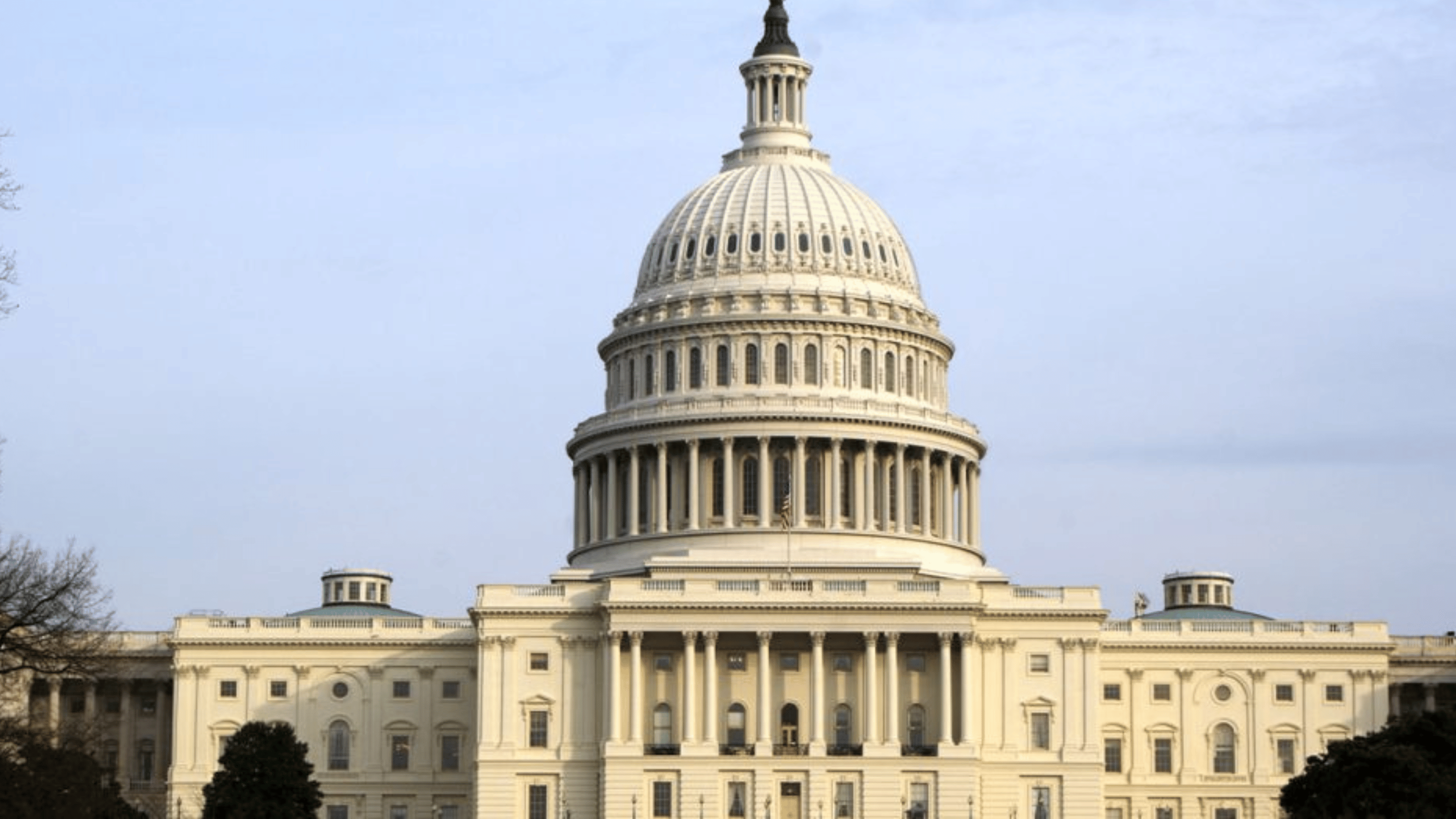 eNews_NEW_43_9af7e8e1