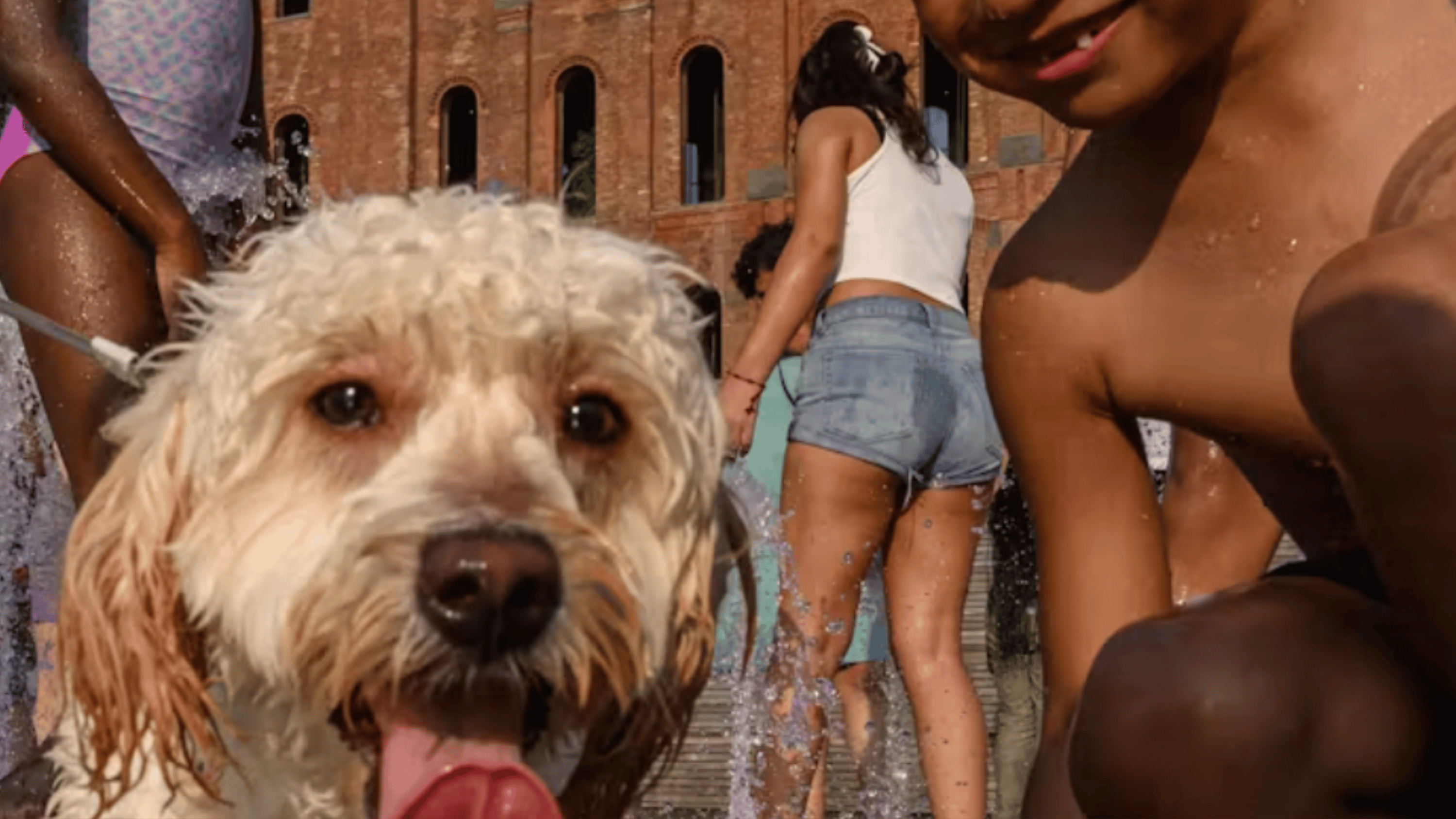 eNews_NEW_50_2cbc96a2