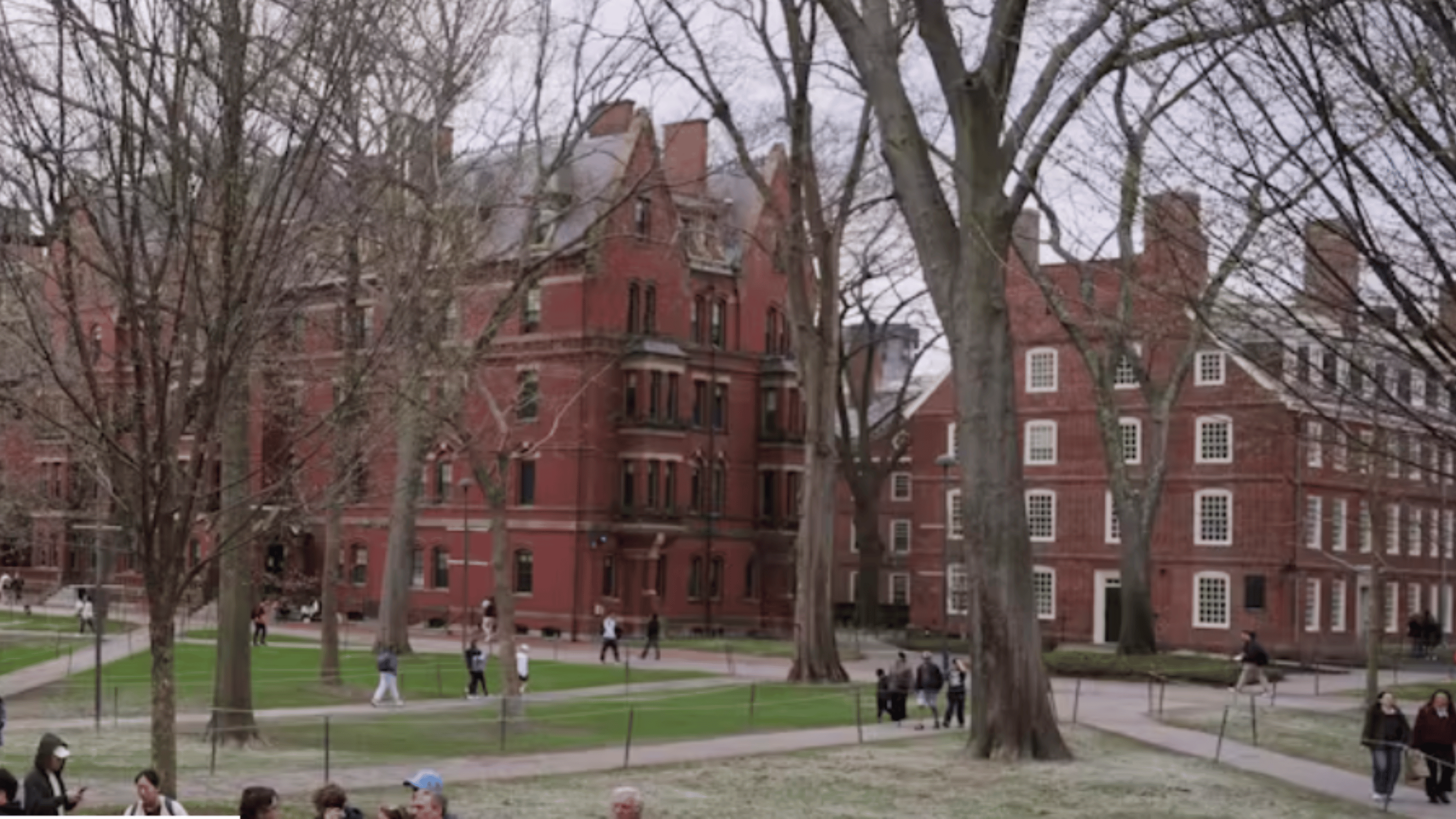 eNews_NEW_51_2da81e83