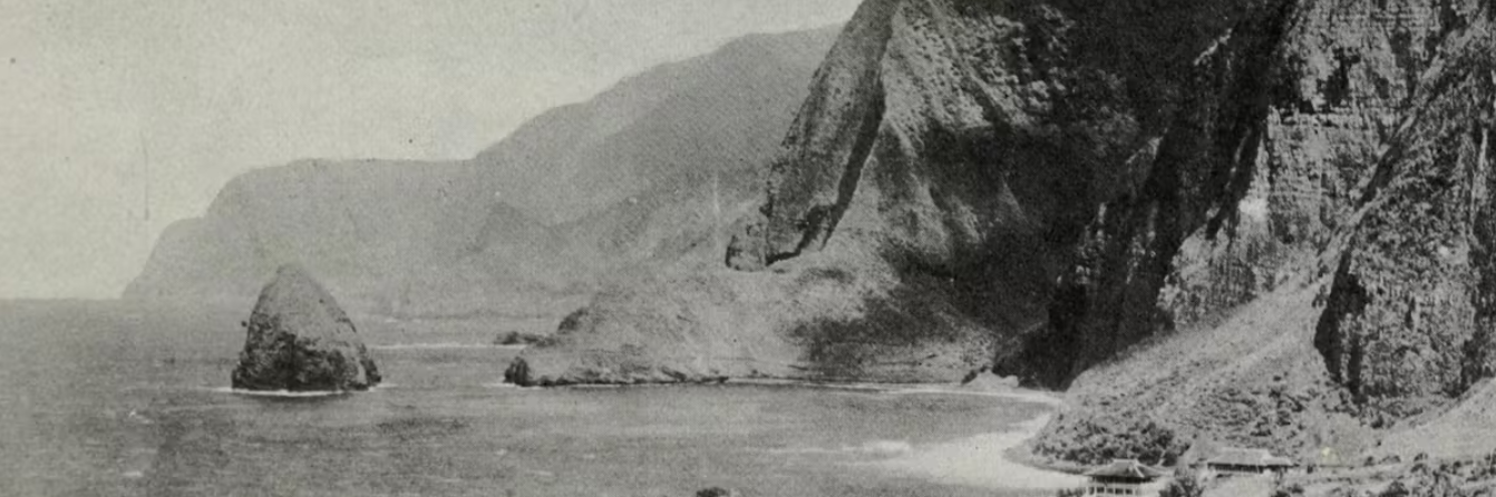 Screenshot_2024-04-15_054937