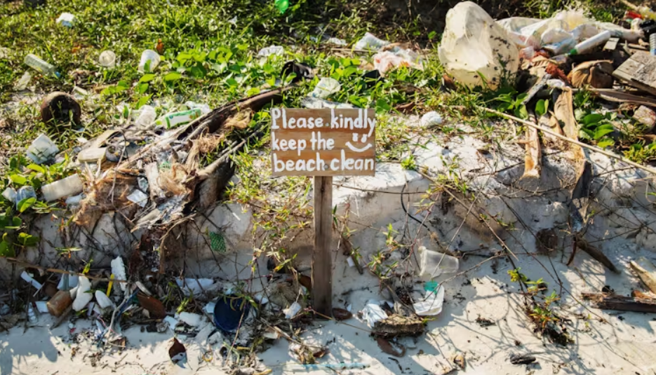 Screenshot_2024-06-04_153017