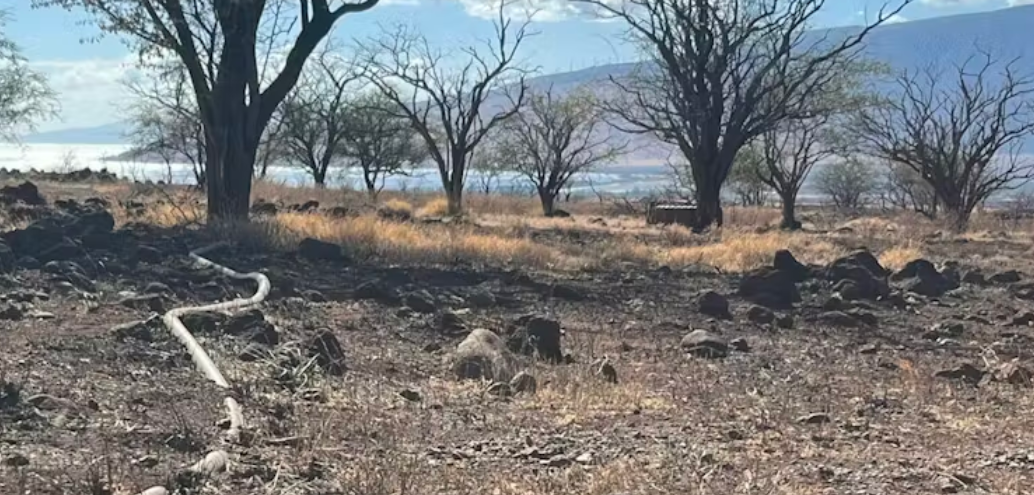 Screenshot_2024-08-14_065853