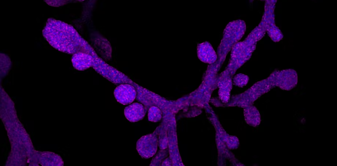 Screenshot_2024-08-26_070354